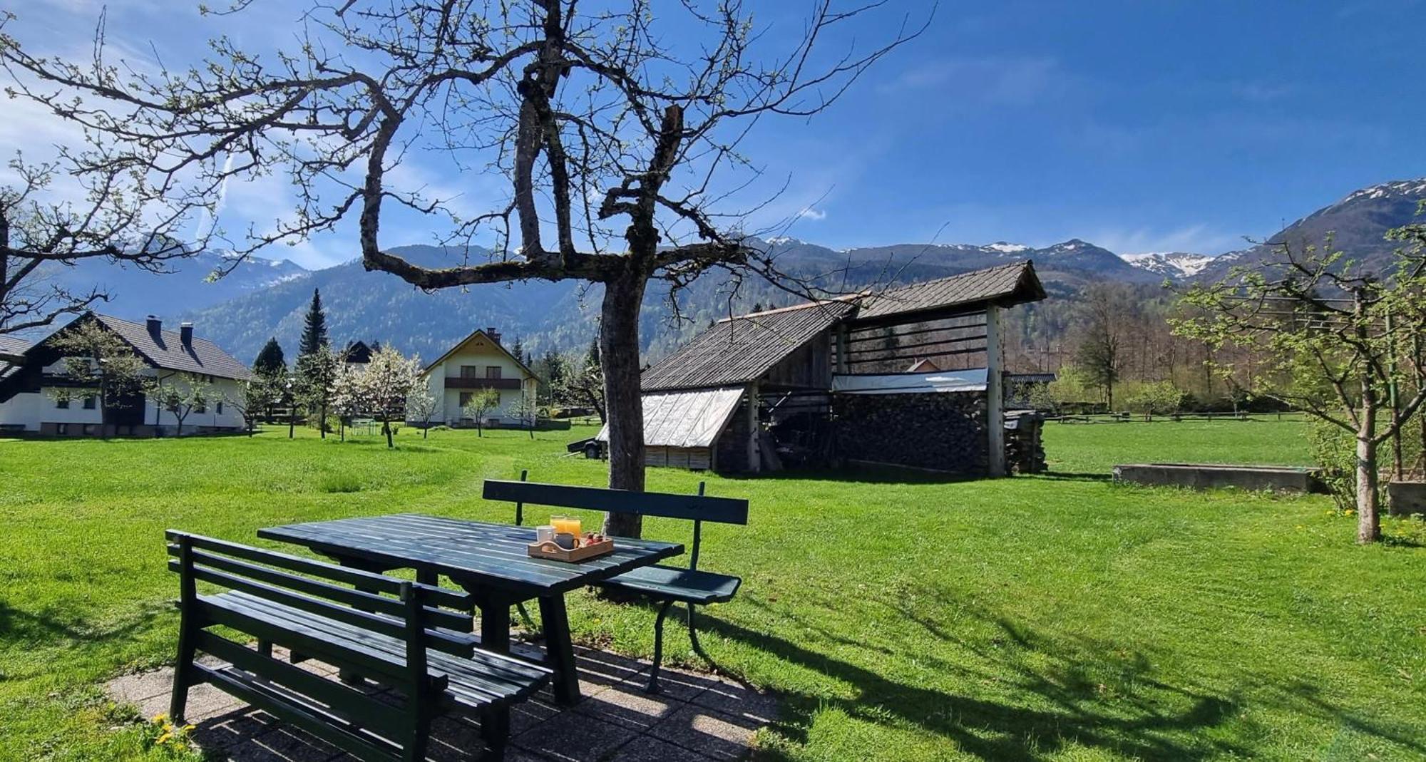 Apartments Skantar Bohinj Eksteriør billede